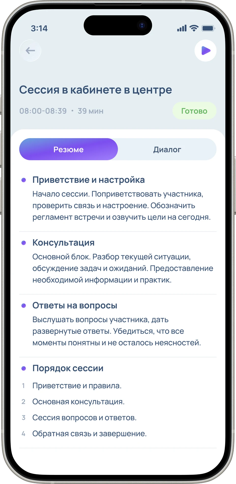 Пример вымышленной сессии: структурированное резюме